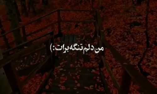 هایده من دلم تنگه برات هرجا رفتم نپرید